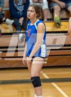 Photo from the gallery "Western Harnett @ Pine Forest"