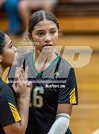 Photo from the gallery "Western Harnett @ Pine Forest"