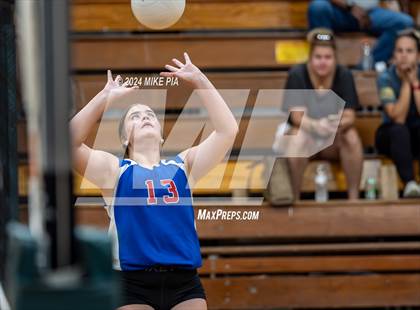 Thumbnail 1 in Western Harnett @ Pine Forest photogallery.