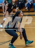 Photo from the gallery "Western Harnett @ Pine Forest"