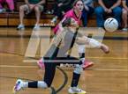 Photo from the gallery "Western Harnett @ Pine Forest"