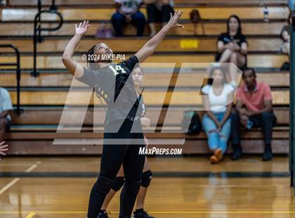 Thumbnail 3 in Western Harnett @ Pine Forest photogallery.