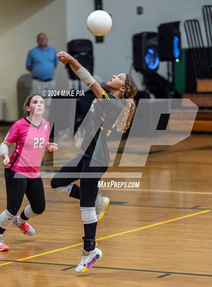 Thumbnail 1 in Western Harnett @ Pine Forest photogallery.