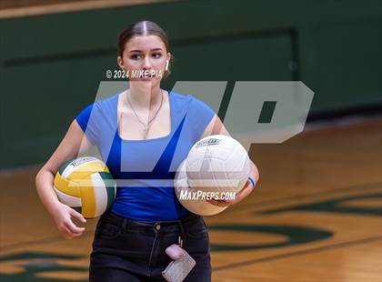 Thumbnail 1 in Western Harnett @ Pine Forest photogallery.