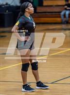 Photo from the gallery "Western Harnett @ Pine Forest"
