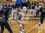Photo from the gallery "Western Harnett @ Pine Forest"