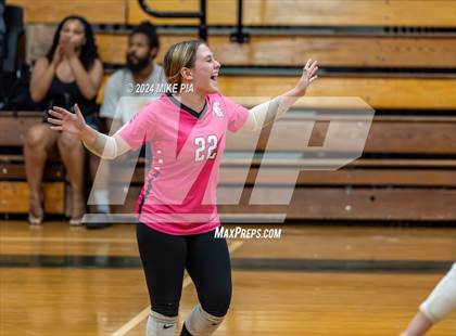 Thumbnail 2 in Western Harnett @ Pine Forest photogallery.