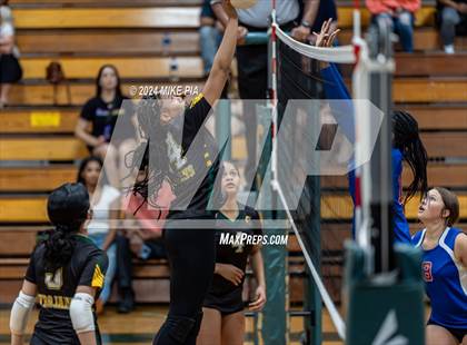 Thumbnail 1 in Western Harnett @ Pine Forest photogallery.