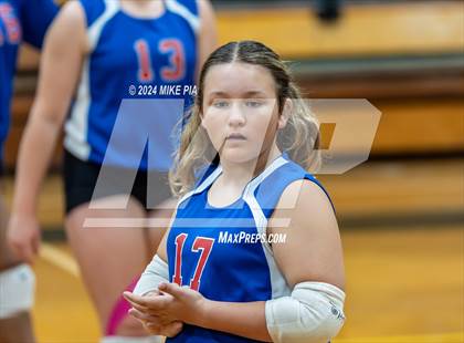 Thumbnail 1 in Western Harnett @ Pine Forest photogallery.
