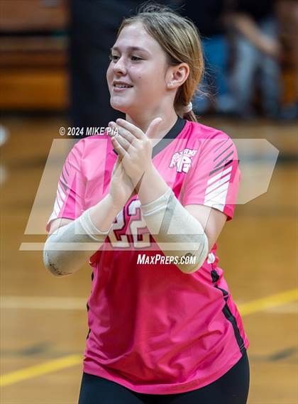 Thumbnail 2 in Western Harnett @ Pine Forest photogallery.