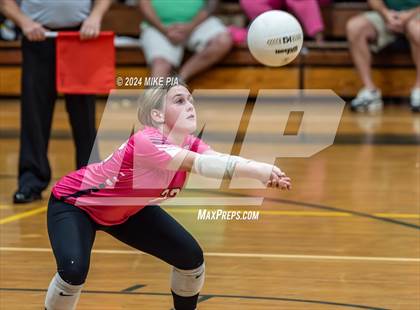 Thumbnail 2 in Western Harnett @ Pine Forest photogallery.