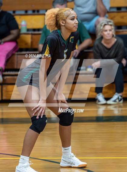 Thumbnail 1 in Western Harnett @ Pine Forest photogallery.