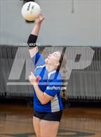 Photo from the gallery "Western Harnett @ Pine Forest"