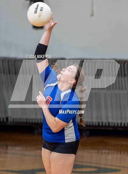 Thumbnail 2 in Western Harnett @ Pine Forest photogallery.