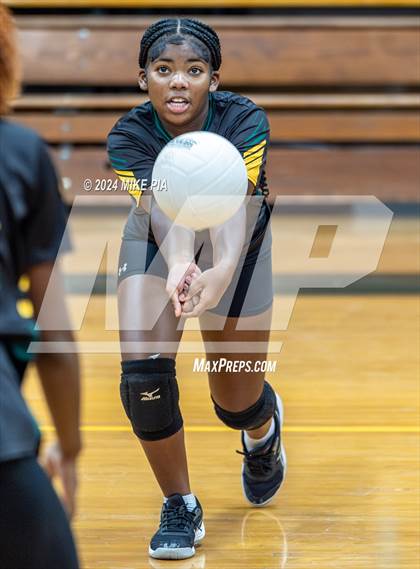 Thumbnail 2 in Western Harnett @ Pine Forest photogallery.