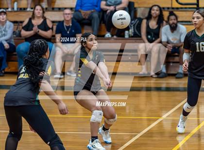 Thumbnail 2 in Western Harnett @ Pine Forest photogallery.