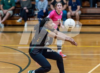 Thumbnail 2 in Western Harnett @ Pine Forest photogallery.