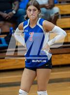 Photo from the gallery "Western Harnett @ Pine Forest"