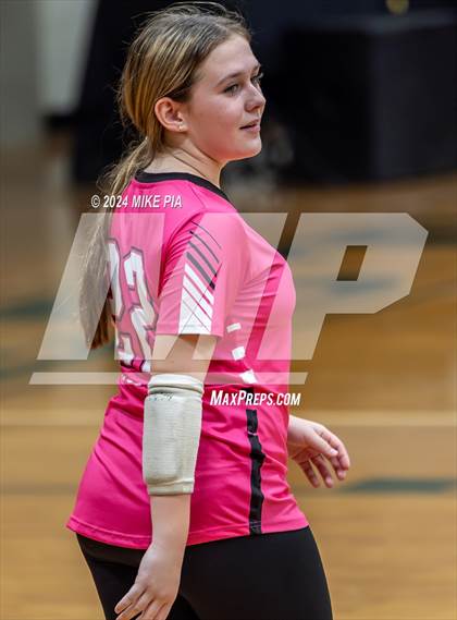 Thumbnail 3 in Western Harnett @ Pine Forest photogallery.