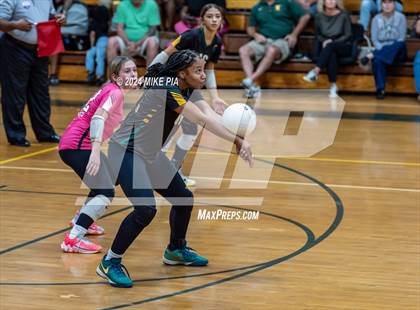 Thumbnail 2 in Western Harnett @ Pine Forest photogallery.
