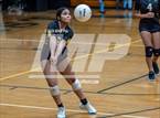 Photo from the gallery "Western Harnett @ Pine Forest"