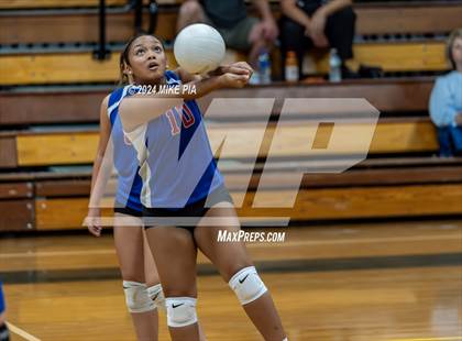 Thumbnail 3 in Western Harnett @ Pine Forest photogallery.