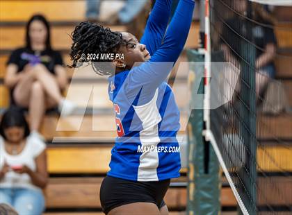 Thumbnail 3 in Western Harnett @ Pine Forest photogallery.