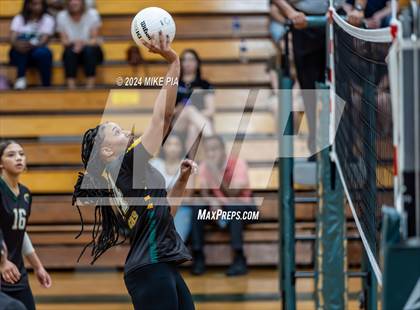 Thumbnail 3 in Western Harnett @ Pine Forest photogallery.
