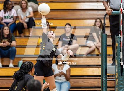 Thumbnail 3 in Western Harnett @ Pine Forest photogallery.