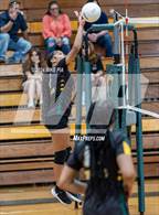 Photo from the gallery "Western Harnett @ Pine Forest"
