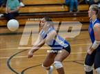 Photo from the gallery "Western Harnett @ Pine Forest"