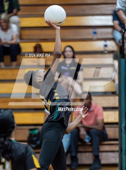 Thumbnail 3 in Western Harnett @ Pine Forest photogallery.