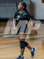 Photo from the gallery "Western Harnett @ Pine Forest"