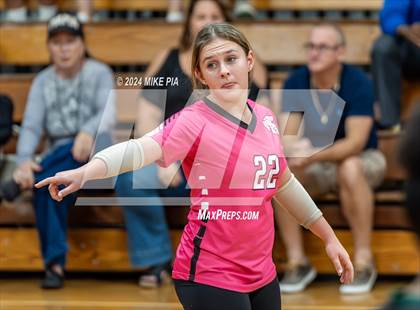 Thumbnail 3 in Western Harnett @ Pine Forest photogallery.