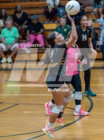 Thumbnail 3 in Western Harnett @ Pine Forest photogallery.