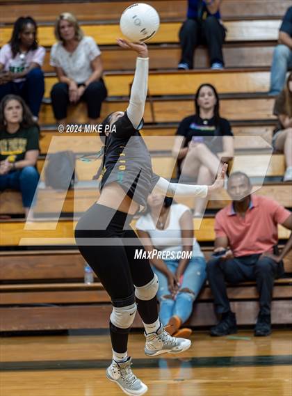 Thumbnail 3 in Western Harnett @ Pine Forest photogallery.