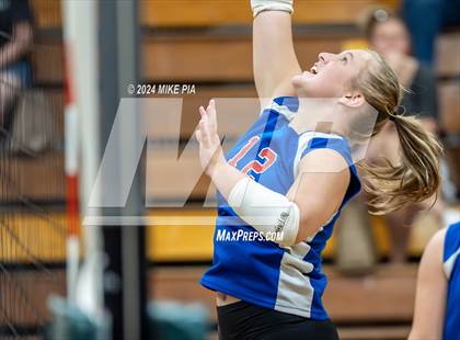 Thumbnail 2 in Western Harnett @ Pine Forest photogallery.