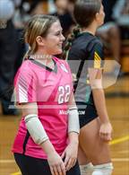 Photo from the gallery "Western Harnett @ Pine Forest"