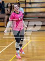 Photo from the gallery "Western Harnett @ Pine Forest"