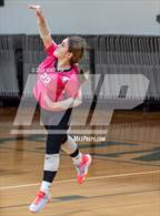 Photo from the gallery "Western Harnett @ Pine Forest"