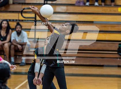 Thumbnail 1 in Western Harnett @ Pine Forest photogallery.