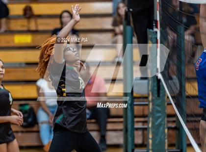 Thumbnail 3 in Western Harnett @ Pine Forest photogallery.