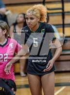 Photo from the gallery "Western Harnett @ Pine Forest"