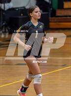 Photo from the gallery "Western Harnett @ Pine Forest"