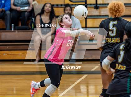 Thumbnail 1 in Western Harnett @ Pine Forest photogallery.