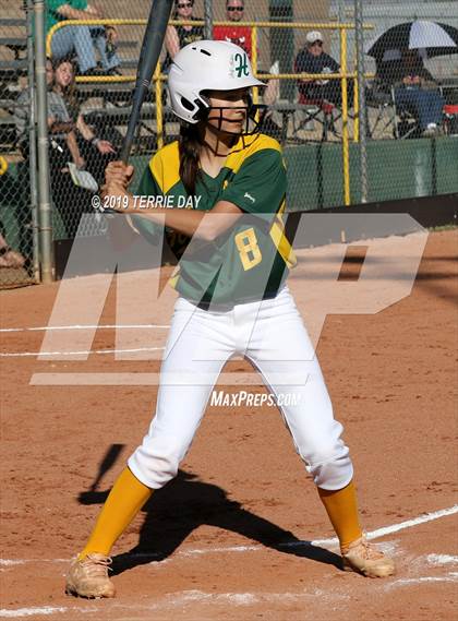 Thumbnail 2 in Cactus Shadows @ Horizon photogallery.
