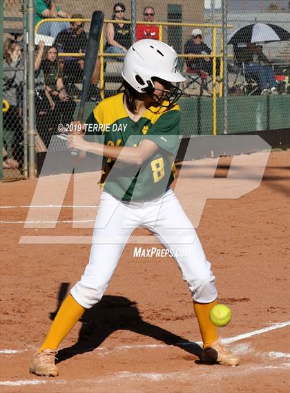 Thumbnail 1 in Cactus Shadows @ Horizon photogallery.