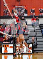 Photo from the gallery "Wimberley vs El Campo (UIL 4A Region IV Area Playoff)"