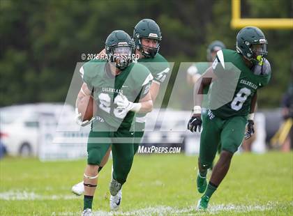 Thumbnail 1 in Longwood @ William Floyd photogallery.