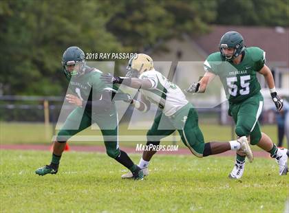 Thumbnail 1 in Longwood @ William Floyd photogallery.